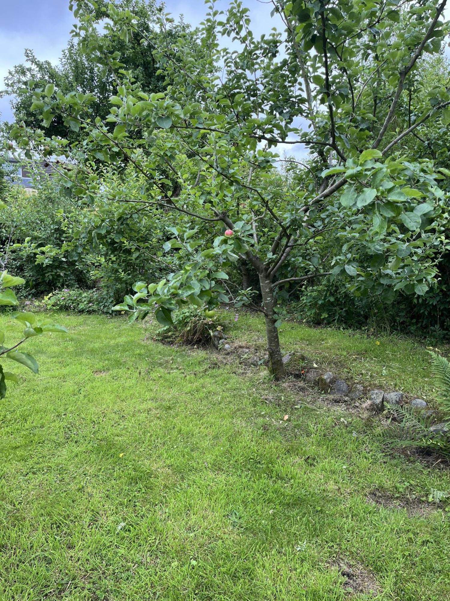 Apple Cottage Newton Stewart Exterior foto